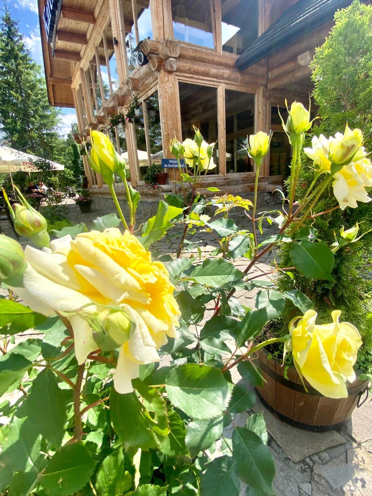 Zajazd Bialczanski Dom Wypoczynkowy Restauracja Białka Esterno foto